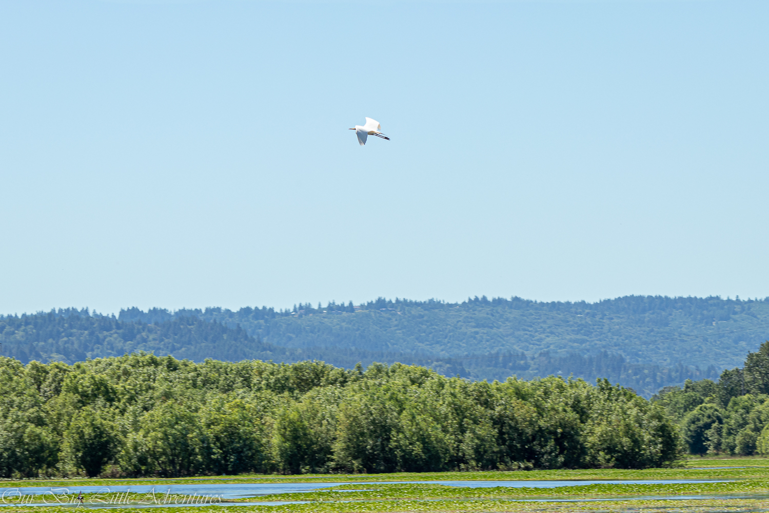 Smith And Bybee Wetlands Natural Area - Our Big Little Adventures