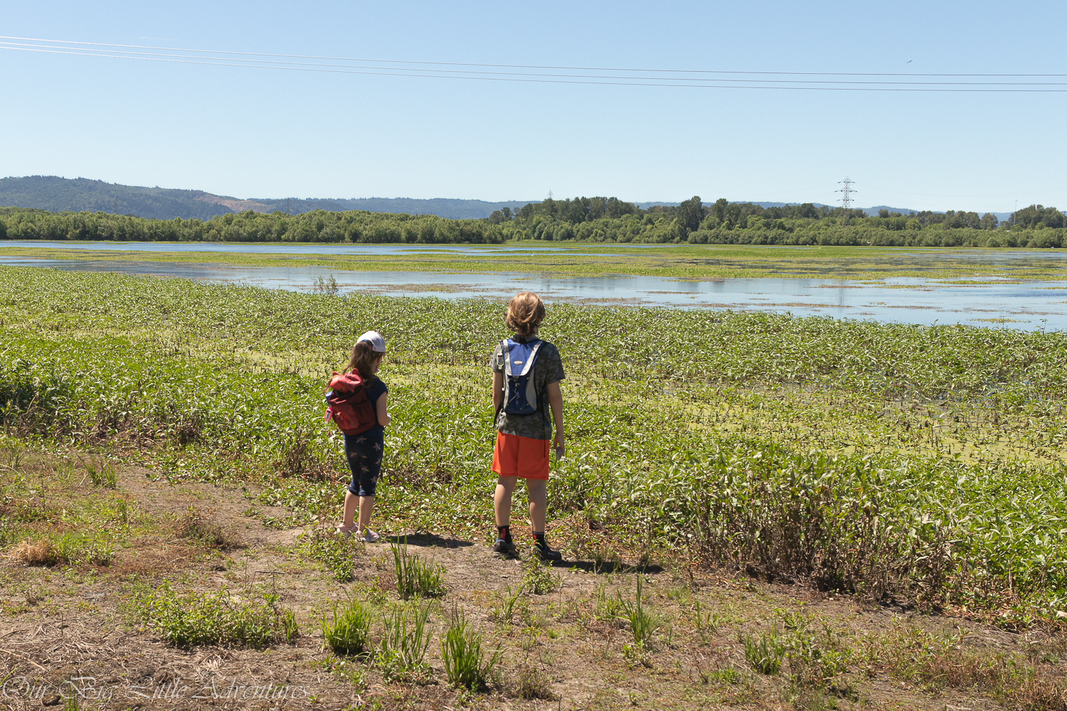 Smith And Bybee Wetlands Natural Area - Our Big Little Adventures