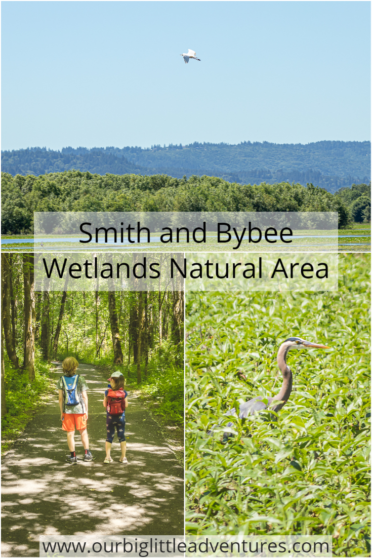 Smith And Bybee Wetlands Natural Area - Our Big Little Adventures