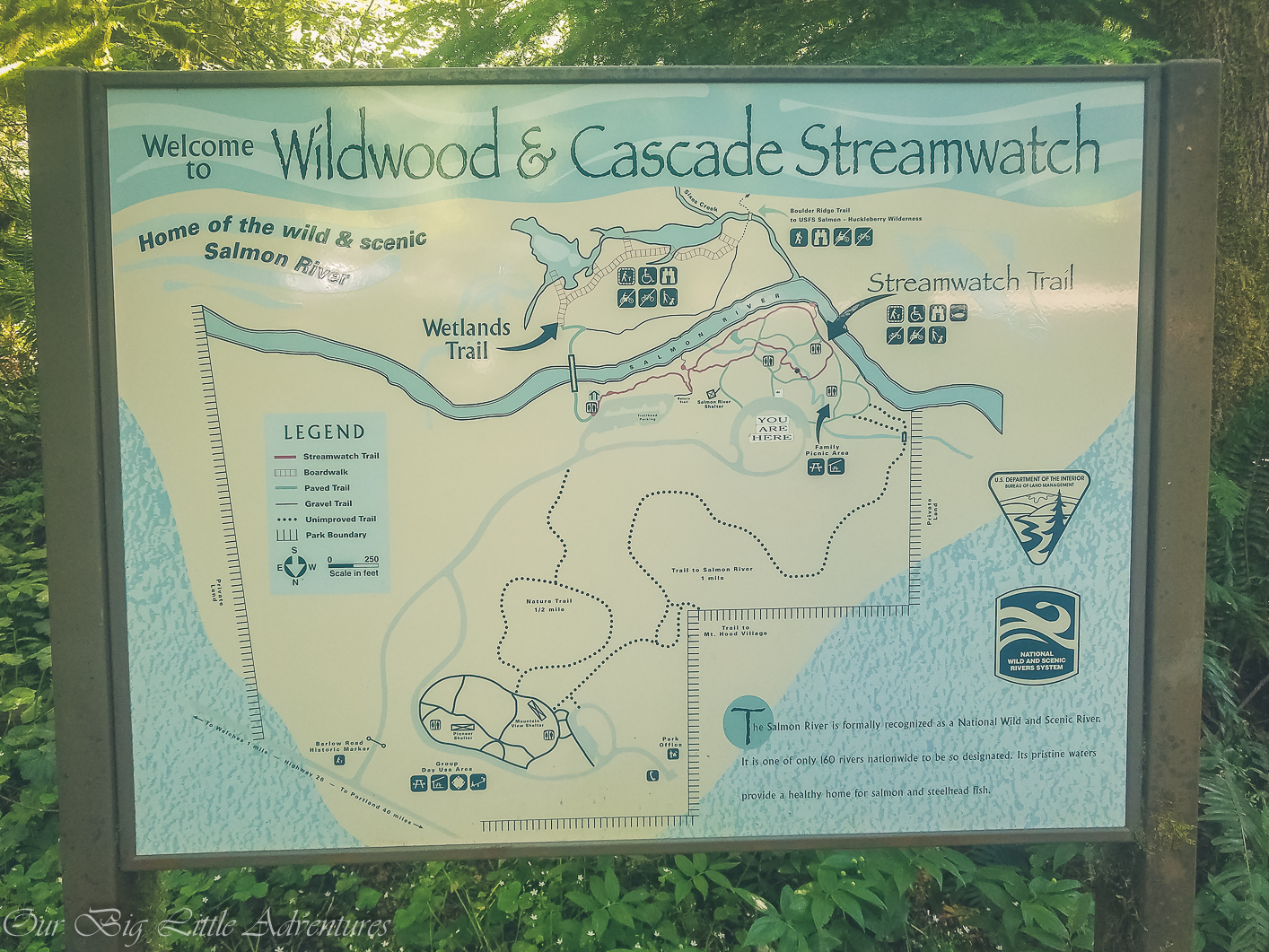 Wildwood Recreation Site - Our Big Little Adventures